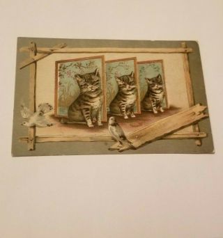 Antique Victorian Greeting Scrap Album Card Cats Kittens Helena Maguire ?