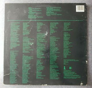 The Waterboys - A Pagan Place - Island Records ‎90190 - PROMO Vinyl LP rare 2