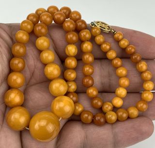 Antique Natural Baltic Egg Yolk Butterscotch Amber Round Beaded Necklace 20 Gr 2