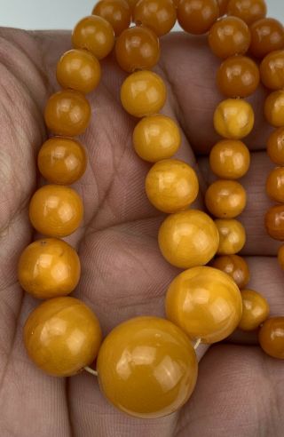 Antique Natural Baltic Egg Yolk Butterscotch Amber Round Beaded Necklace 20 Gr 3
