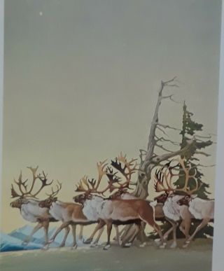 Frances Lee Jaques - " Caribou ",  1928 - Wildlife Art Print - Offset Lithograph 11.  5x10