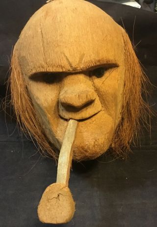 Antique Folk Art Carved Coconut Head - Smoking Pipe Bald Headed Man