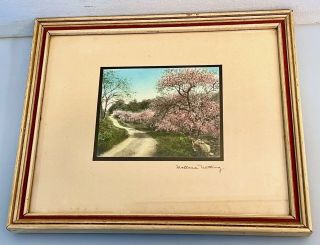 Antique Wallace Nutting Hand Colored Photograph Print Road & Trees With Blossoms