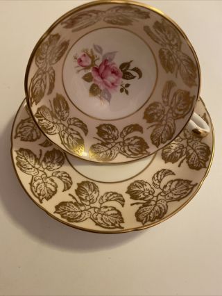 Lovely Vintage “royal Grafton” Fine English Bone China Cup And Saucer