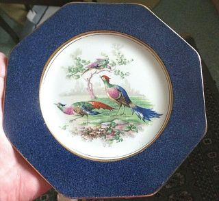 Antique Wedgwood Imperial Porcelain Octagonal Plate Exotic Birds Blue Border
