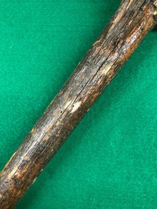 Rare Antique Log Dog Maul - Primitive Logging Tool 3