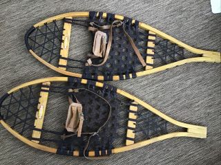 Ll Bean Wooden Snow Shoes 14 X 36” “the Maine Snow Shoe” Leather Bindings Rare