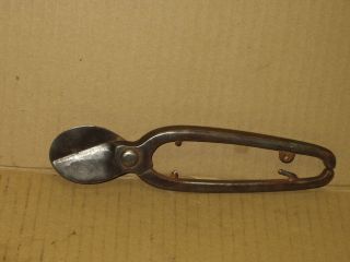 Rare Antique Vintage 8 " Pruning Shears Garden Tool Shrub Trimmer Clippers