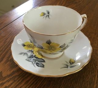 Vintage Collectible Royal Vale English Fine Bone China Tea Cup And Saucer
