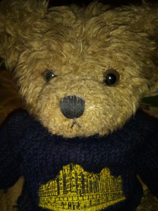 Harrods Knightsbridge Collectible Teddy Bear With Embroidered Blue Sweater