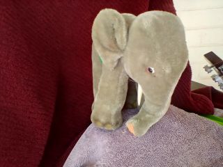 Vintage Steif Elephant Stored 40,  Years With Marke. 2
