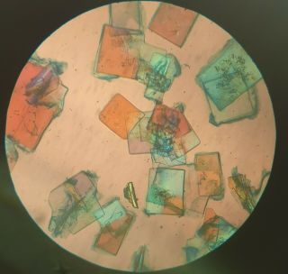 Fine Antique Microscope Slide Yellow Prussiate Of Potash.  Polariscope.