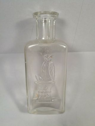 Antique Owl Drug Co.  Embossed Rx Bottle