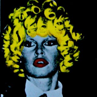 Rare Brigitte Bardot Cover The Rolling Stones Some Girls Vinyl Lp Warhol