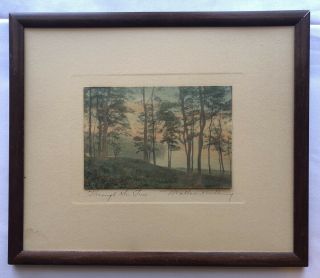 Wallace Nutting “through The Trees” Signed Print One Of A Kind? Rare Ooak Art