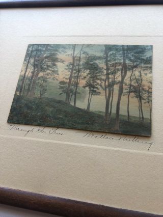 WALLACE NUTTING “Through The Trees” Signed Print One Of A Kind? RARE OOAK ART 2