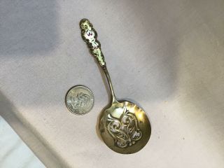Enamel Sterling Serving Spoon By R.  Blackinton Co Ma.  Circa 1895