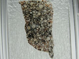 Nwa12347 Official H5 Chondrite Meteorite - 12347 - 0001 - Thin Section - Very Rare