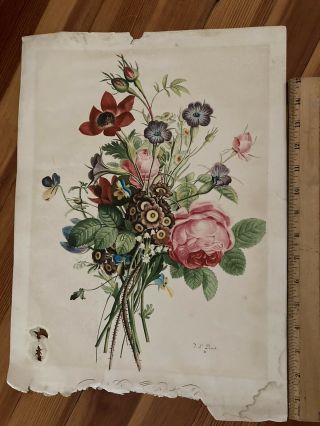Vintage Large 18 X 13 J L Prevost Botanical Print Flowers Pink Roses Anemone