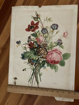 Vintage Large 18 x 13 J L PREVOST Botanical Print Flowers Pink Roses Anemone 2