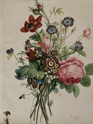 Vintage Large 18 x 13 J L PREVOST Botanical Print Flowers Pink Roses Anemone 3