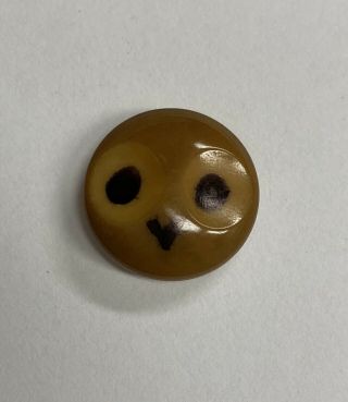 Neat Old Antique Vintage Carved Vegetable Ivory Button W/ Owl Bird Head