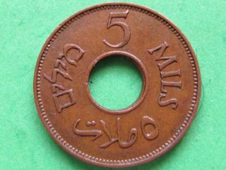 Palestine (1942 Rare Unc) 5 Mils Rare Coin,  Unc