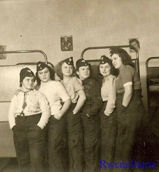 Rare Group Female Luftwaffe Helferin Blitzmädel Girls Posed In Barracks