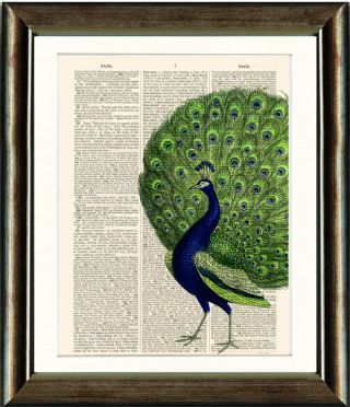 Old Antique Book Page Art Print - Vintage Peacock2 Dictionary Page Print