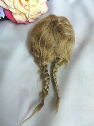 Antique Vintage Doll Wig Golden Blonde Human Hair Long Braids Bangs 9 " C