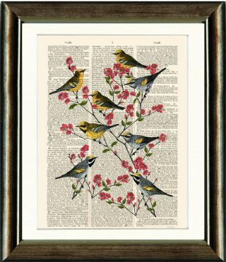 Old Antique Book Page Art Print - Birds And Blossoms Dictionary Page Wall Art