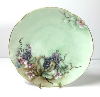 Antique J & C Louise Bavaria Hand Painted Plate Grape Clusters On Green 1898 - 192