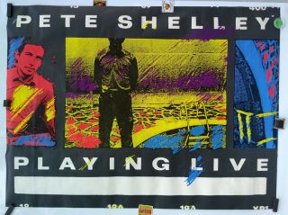 Pete Shelley,  Playing Live,  Rare,  Large,  1980 