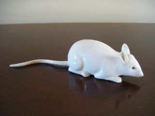 Rare Antique Ernst Bohne & Sohnes German Porcelain Mouse Figurine