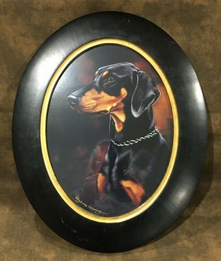 Doberman Pinscher Dog Print In Antique Gesso & Wood Frame Pollyanna Pickering