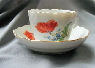 Antique Meissen Flower Sprig Cup & Saucer