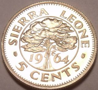Sierra Leone 5 Cents,  1964 Rare Proof 10,  000 Minted Tree
