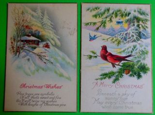 Christmas Snow Scenes Birds Gold Edges - 2 Antique Vintage Postcards