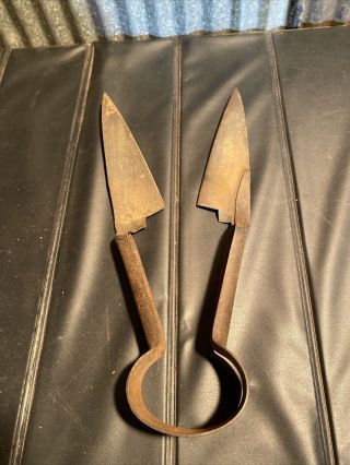 Vintage Antique Clippers Sheep Shears Rustic Farm Tool