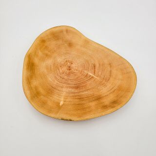 Hand Made Wood Tree Trunk Tray/ Dish,  Organic,  Folk Art Vintage Mcm Modern Decor