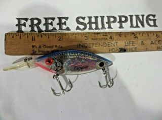 Cordell Longbill Spot Diving Version Fishing Lure Discontinued Tackle Box Find