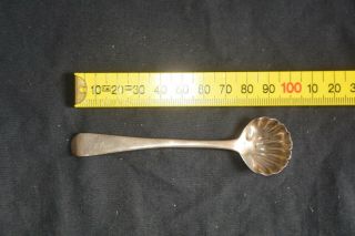 Georgian 1824 London Hallmarked Silver Scalloped Salt Spoon Poss.  William Eaton