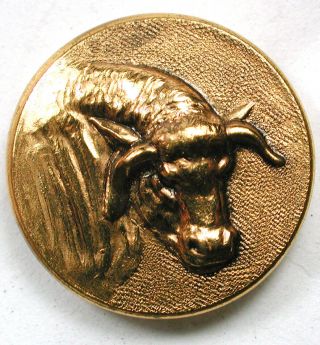 Antique Brass Button Cow Or Steer Head W Horns - Flower Ring Back Mark 3/4 "