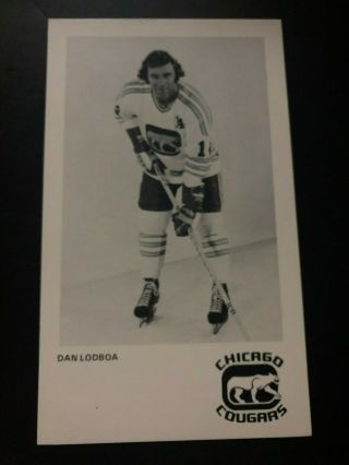 Rare 1974/75 Dan Lodboa Chicago Cougars Team Issue Photo Postcard Wha