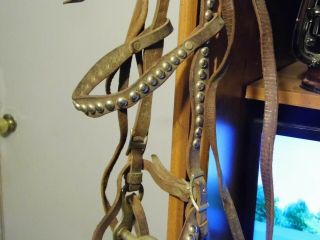 VINTAGE PONY HEADSTALL LEATHER WITH SILVER BEADING GREAT SHAPE NO MISSING BEADS 2