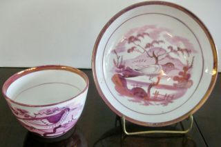 19c.  Antique English Staffordshire Pink Luster Tea Cup & Saucer Handpainted Bird