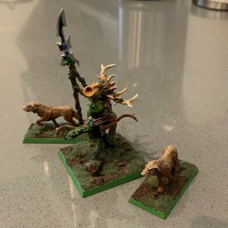 Warhammer Orion King In The Woods Metal - Rare & Oop - Wood Elf Elves Complete