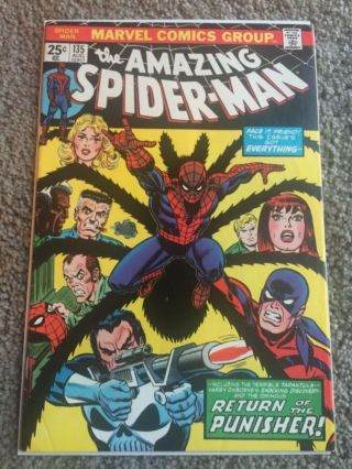 Rare 1974 Bronze Age Spider - Man 135 Key 2nd Punisher Complete