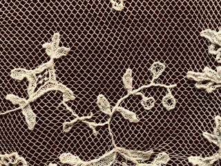19th C.  Point de Gaze needle lace border trailing floral applique on fine net 3