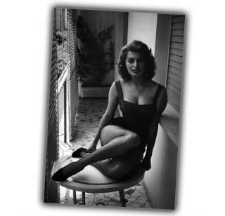 Sophia Loren Woman Pinup Retro Vintage Classic Rare Photo 4x6 L